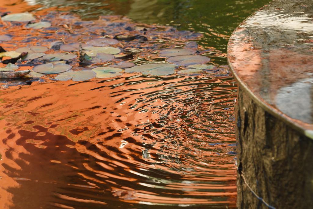 Szonyi Garden Hotel Pest Budapešť Exteriér fotografie